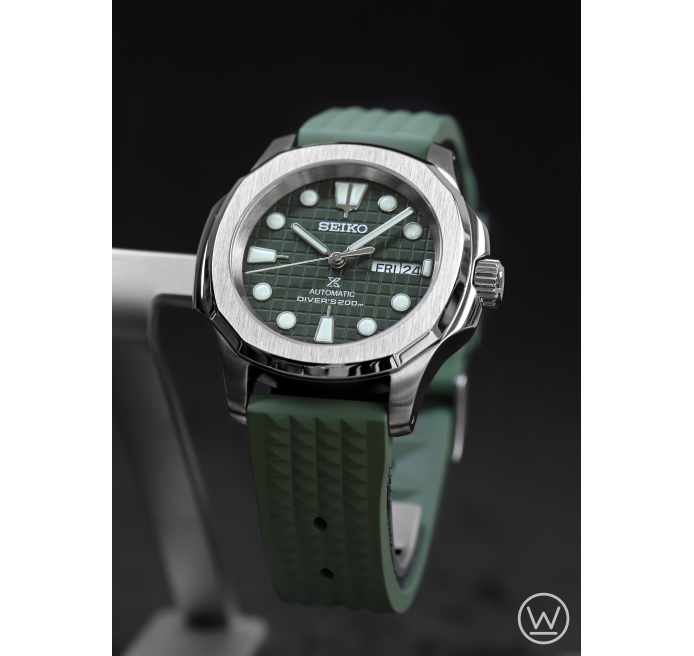 aquanaut-olive-king-turtle.png